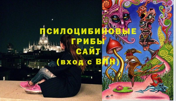 сатива Алексеевка