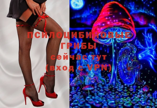 сатива Алексеевка