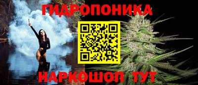гидра Красноармейск