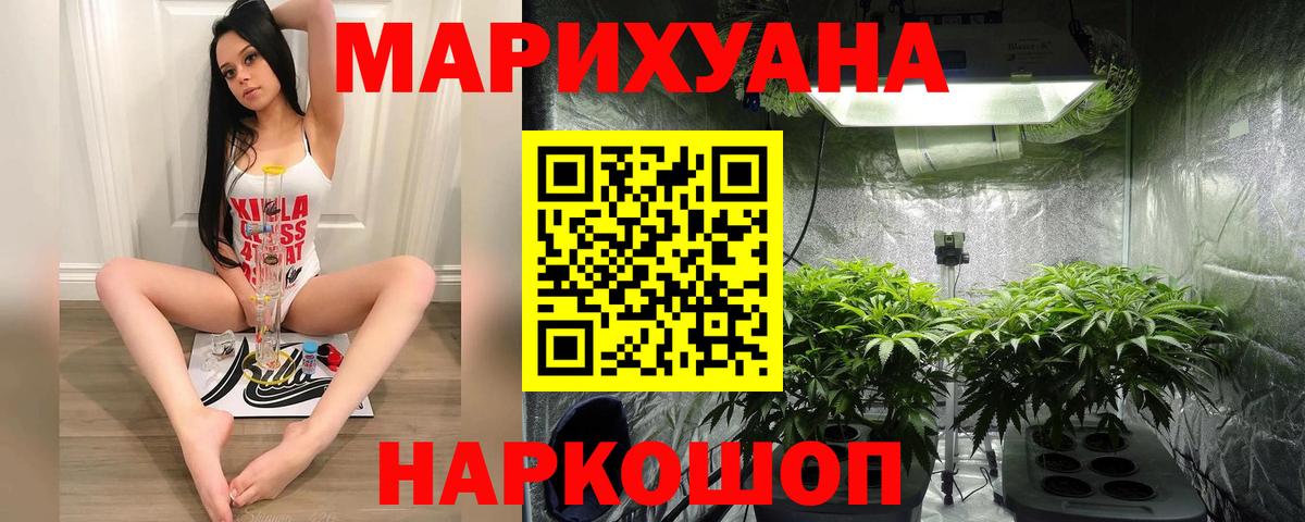 Шишки марихуана семена Кореновск
